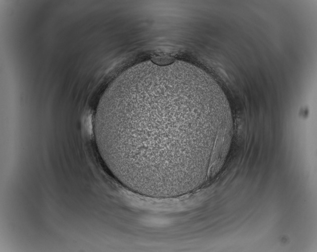 X0000100200042200806131240