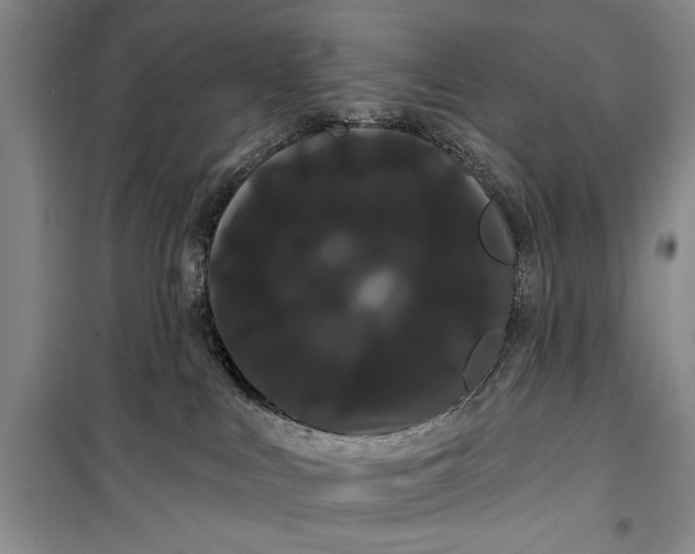 X0000100200043200806131240