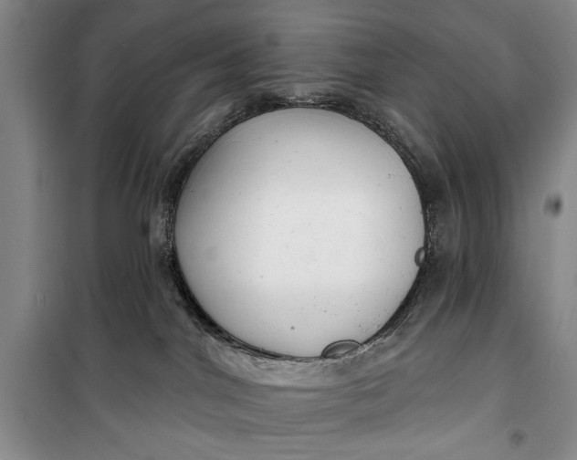 X0000100200044200806131240