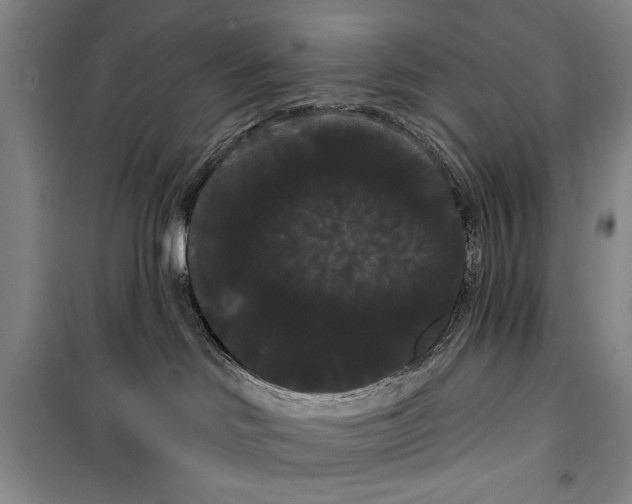 X0000100200046200806131240