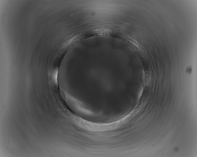 X0000100200047200806131240