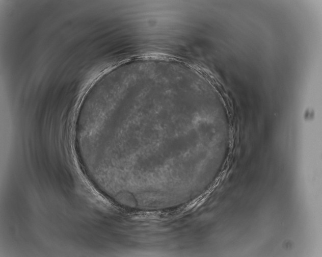 X0000100200049200806131239