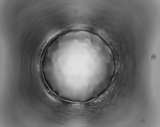 X0000100200050200806131239