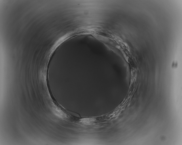 X0000100200051200806131239