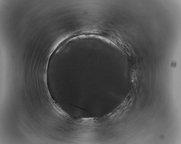 X0000100200052200806131239