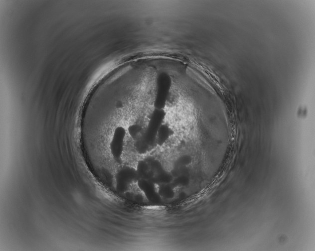 X0000100200053200806131239