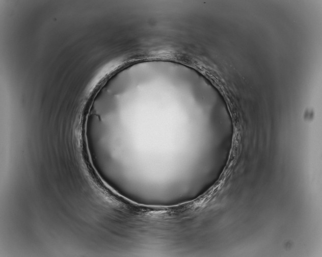 X0000100200054200806131239