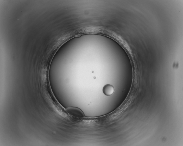 X0000100200057200806131239