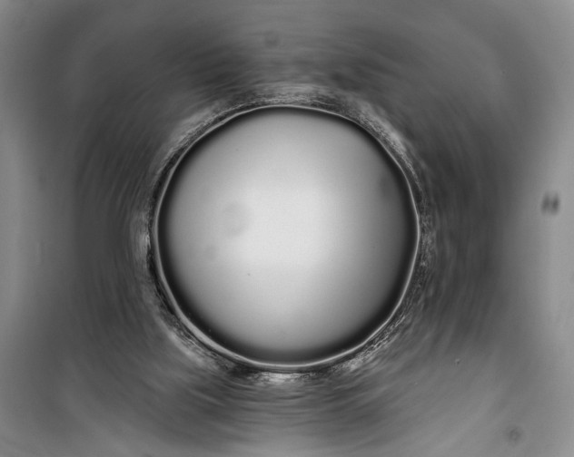 X0000100200059200806131239