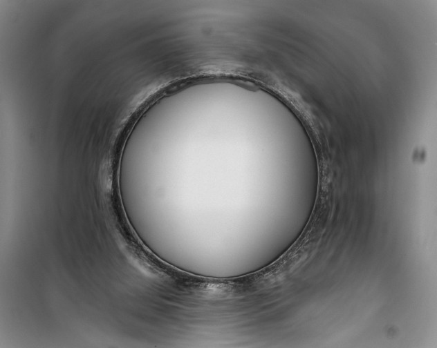 X0000100200060200806131239