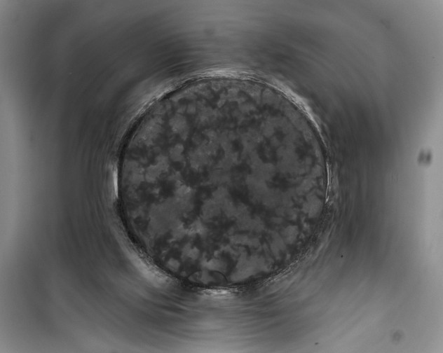 X0000100200061200806131239