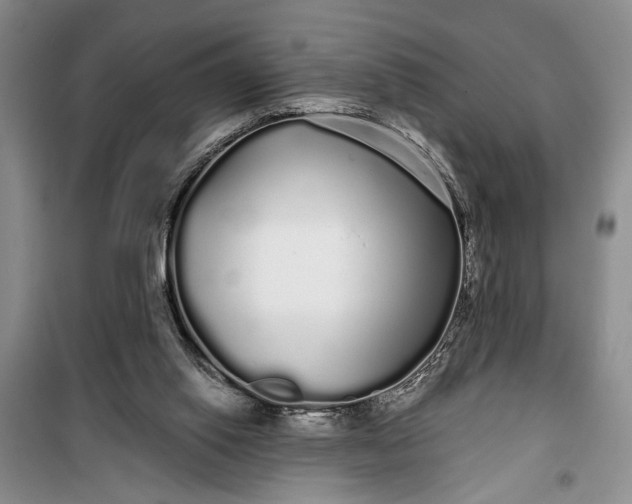 X0000100200062200806131239