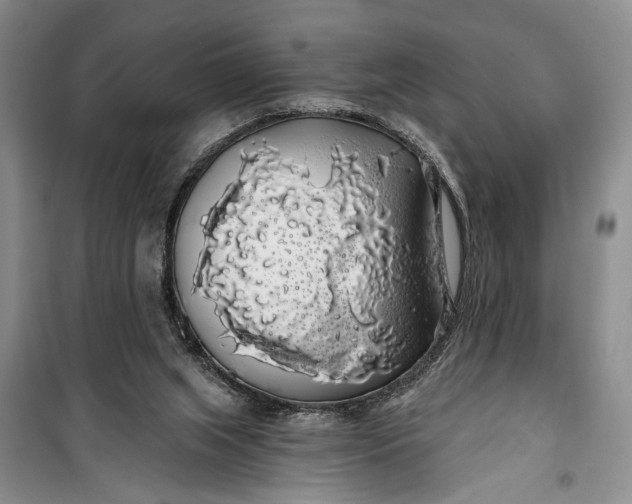 X0000100200063200806131239