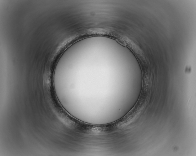 X0000100200064200806131239