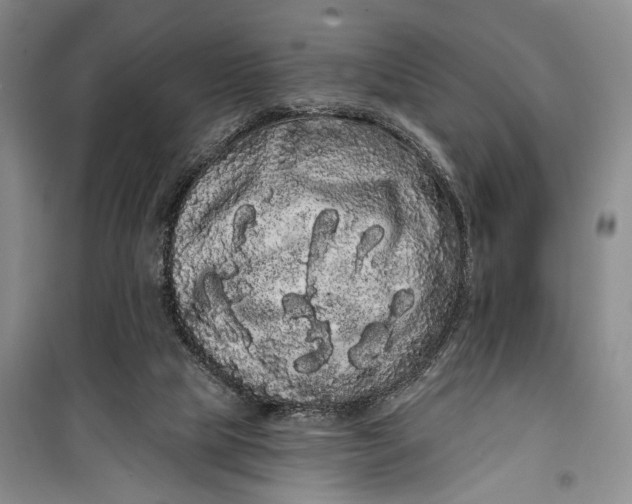 X0000100200065200806131239