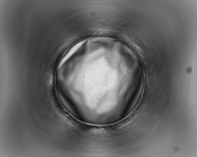 X0000100200067200806131239