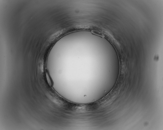 X0000100200068200806131239