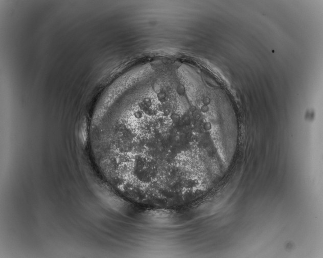 X0000100200069200806131239