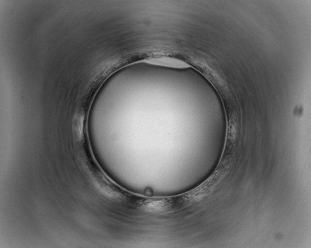 X0000100200070200806131239