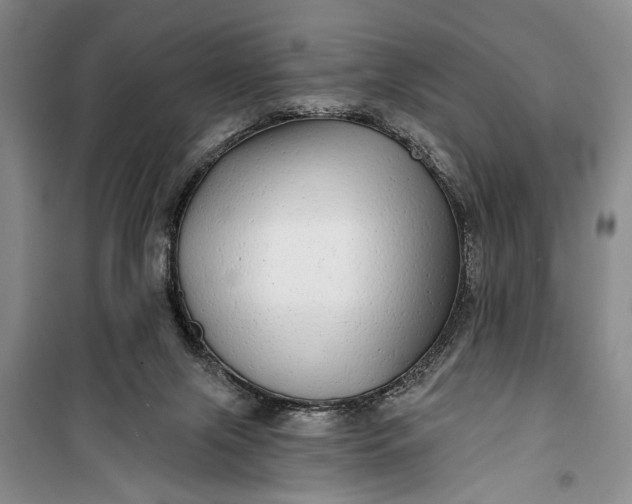 X0000100200071200806131239