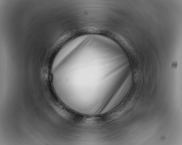 X0000100200072200806131239