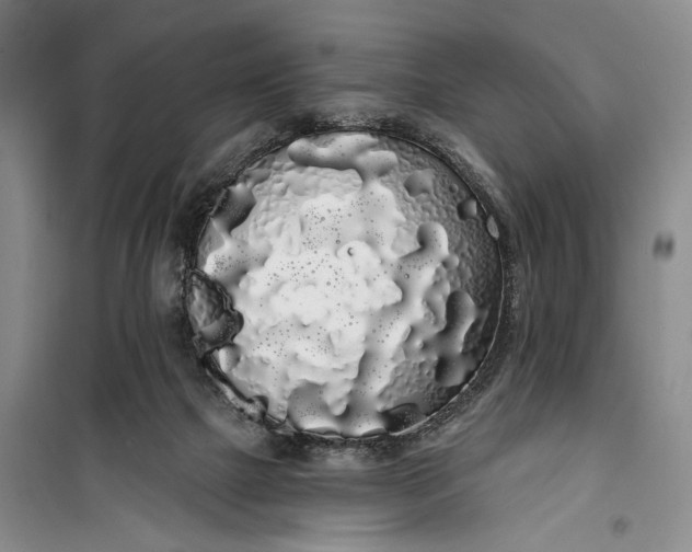 X0000100200073200806131239