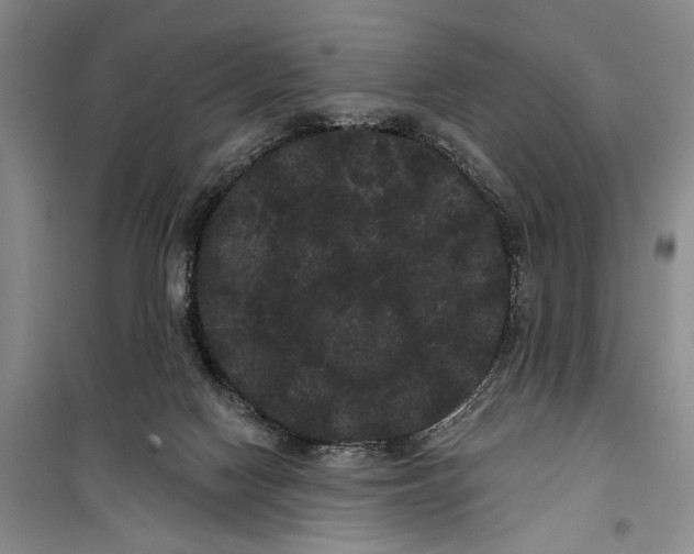 X0000100200074200806131239