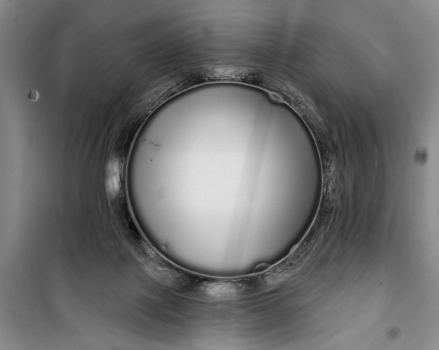 X0000100200075200806131239