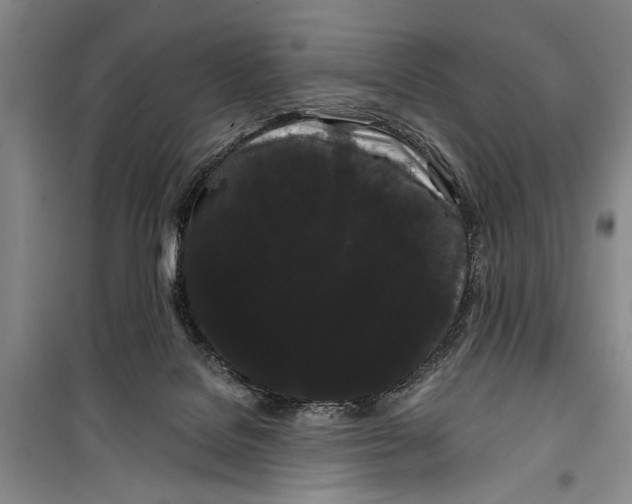 X0000100200076200806131239