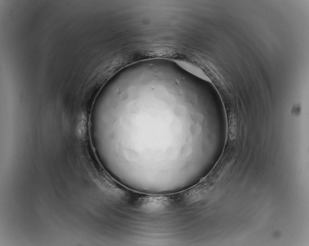 X0000100200077200806131239