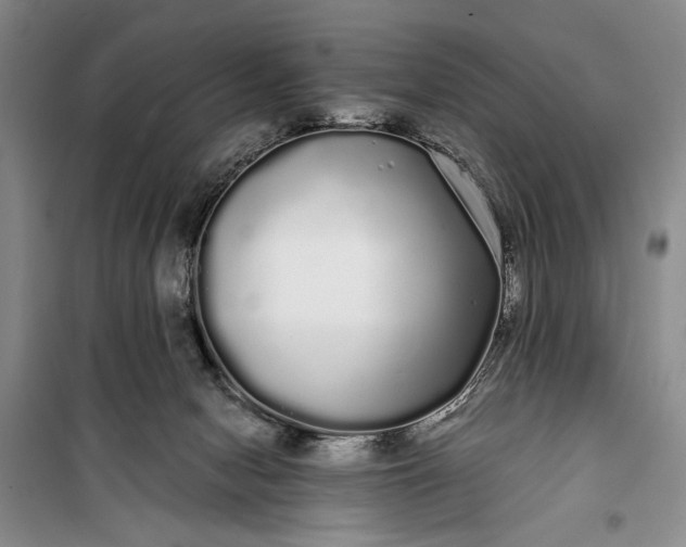 X0000100200078200806131239