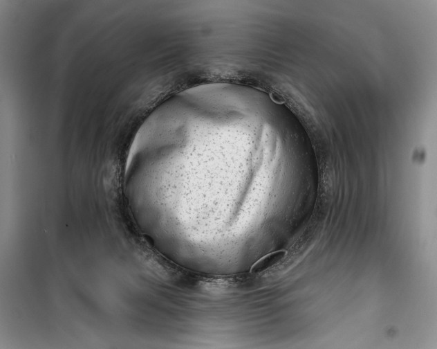 X0000100200079200806131239