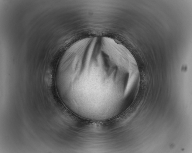 X0000100200080200806131239