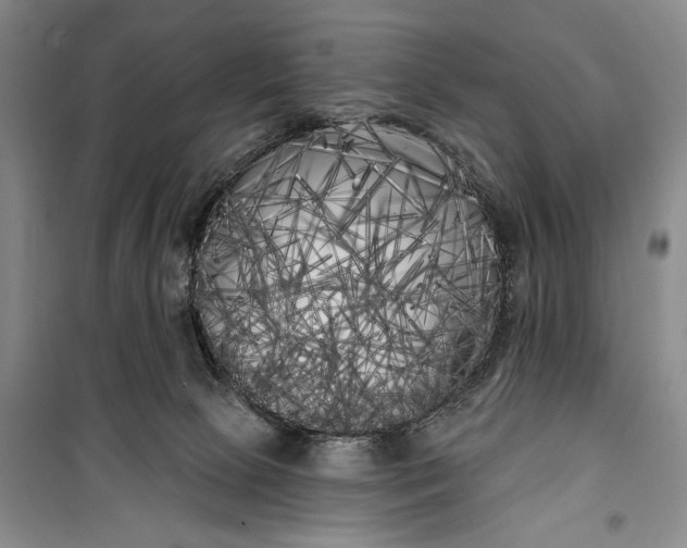 X0000100200081200806131239