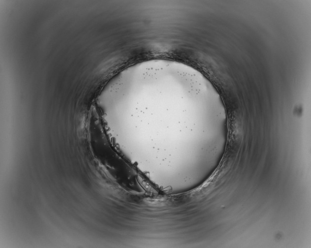 X0000100200082200806131239