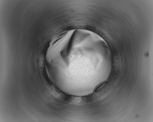 X0000100200083200806131239