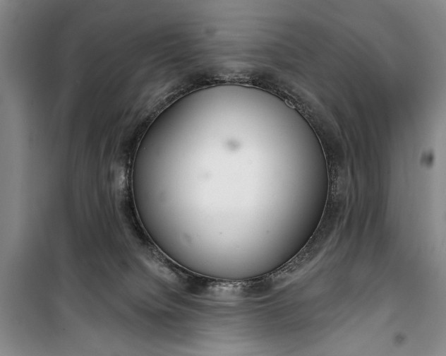 X0000100200084200806131239