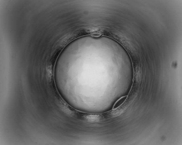 X0000100200085200806131239