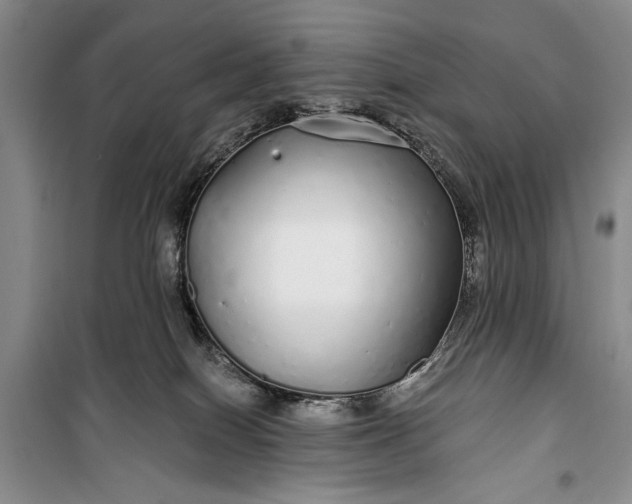 X0000100200086200806131239