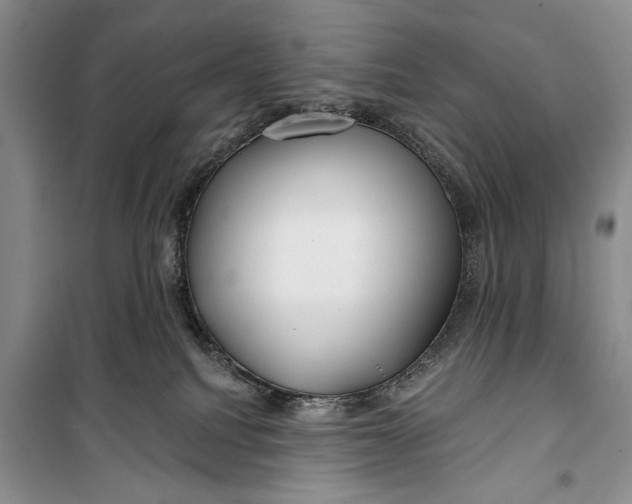 X0000100200088200806131239