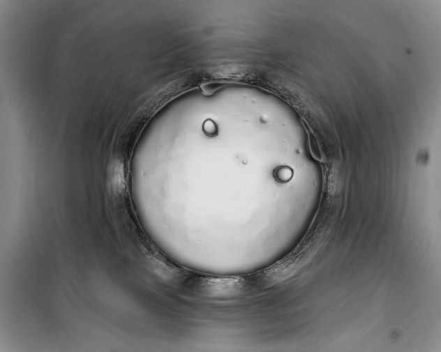 X0000100200089200806131239