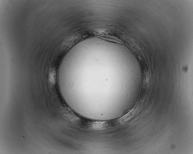 X0000100200090200806131239