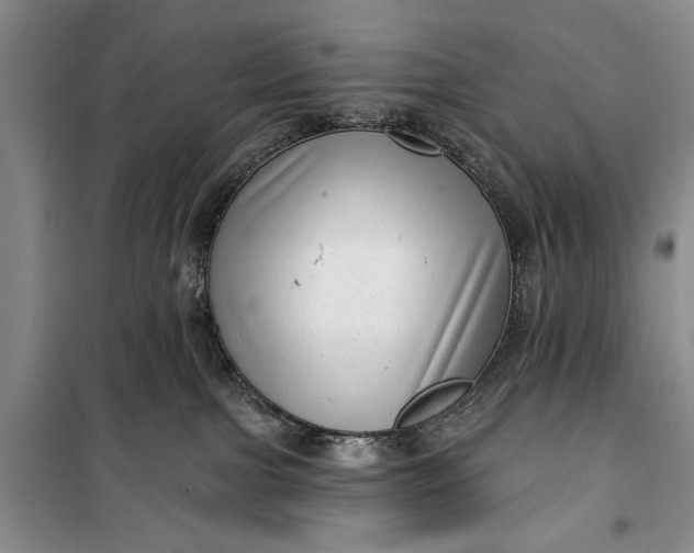 X0000100200091200806131239