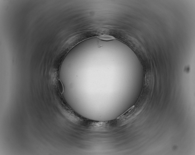 X0000100200092200806131239