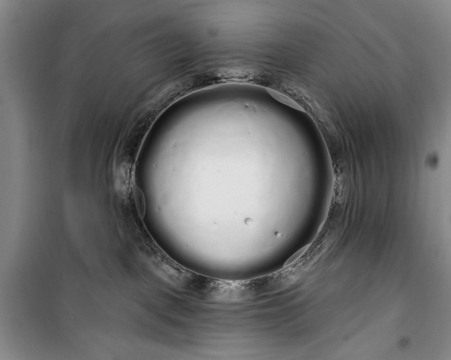 X0000100200093200806131239