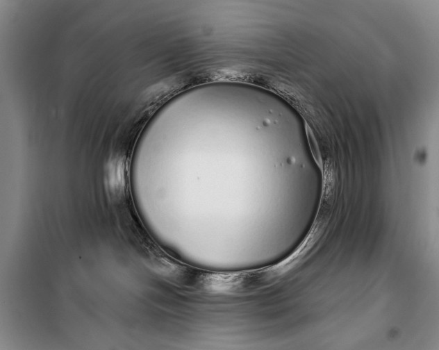 X0000100200094200806131239