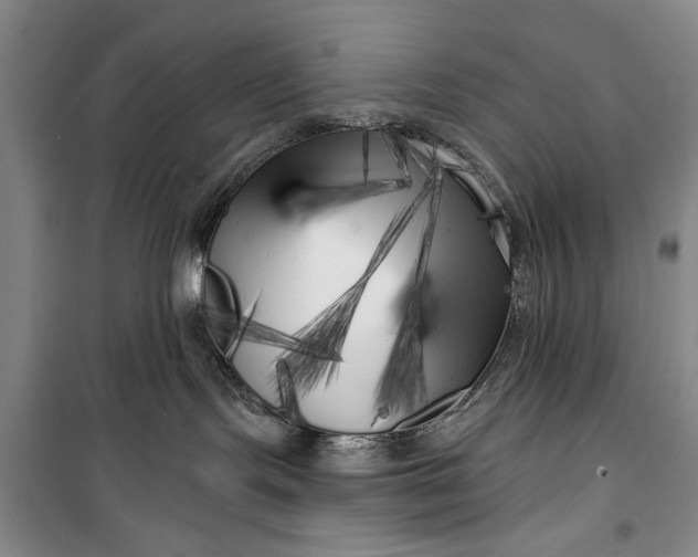 X0000100200095200806131239