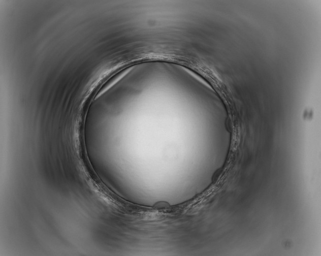 X0000100200098200806131239