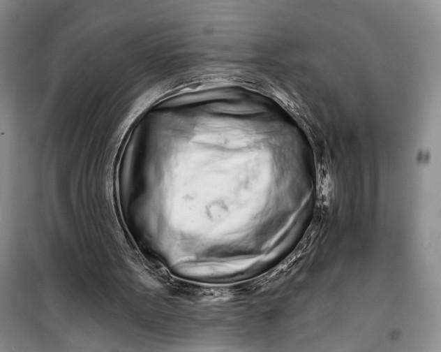 X0000100200099200806131239