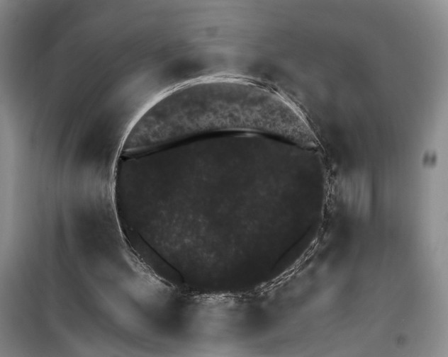 X0000100200100200806131239